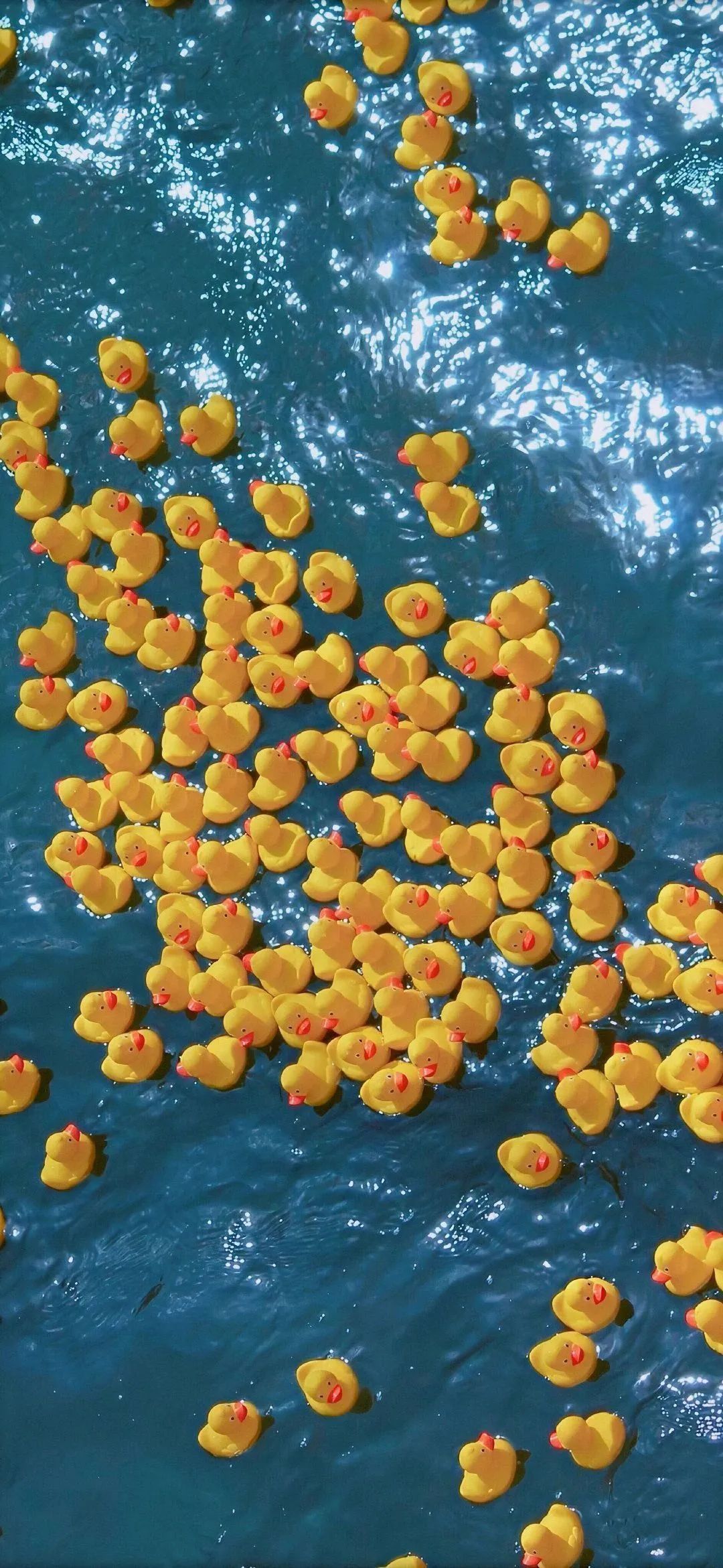 海上漂浮的黄色小鸭群手机壁纸