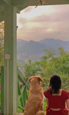 狗狗和美女坐在地上看风景背影手机壁纸