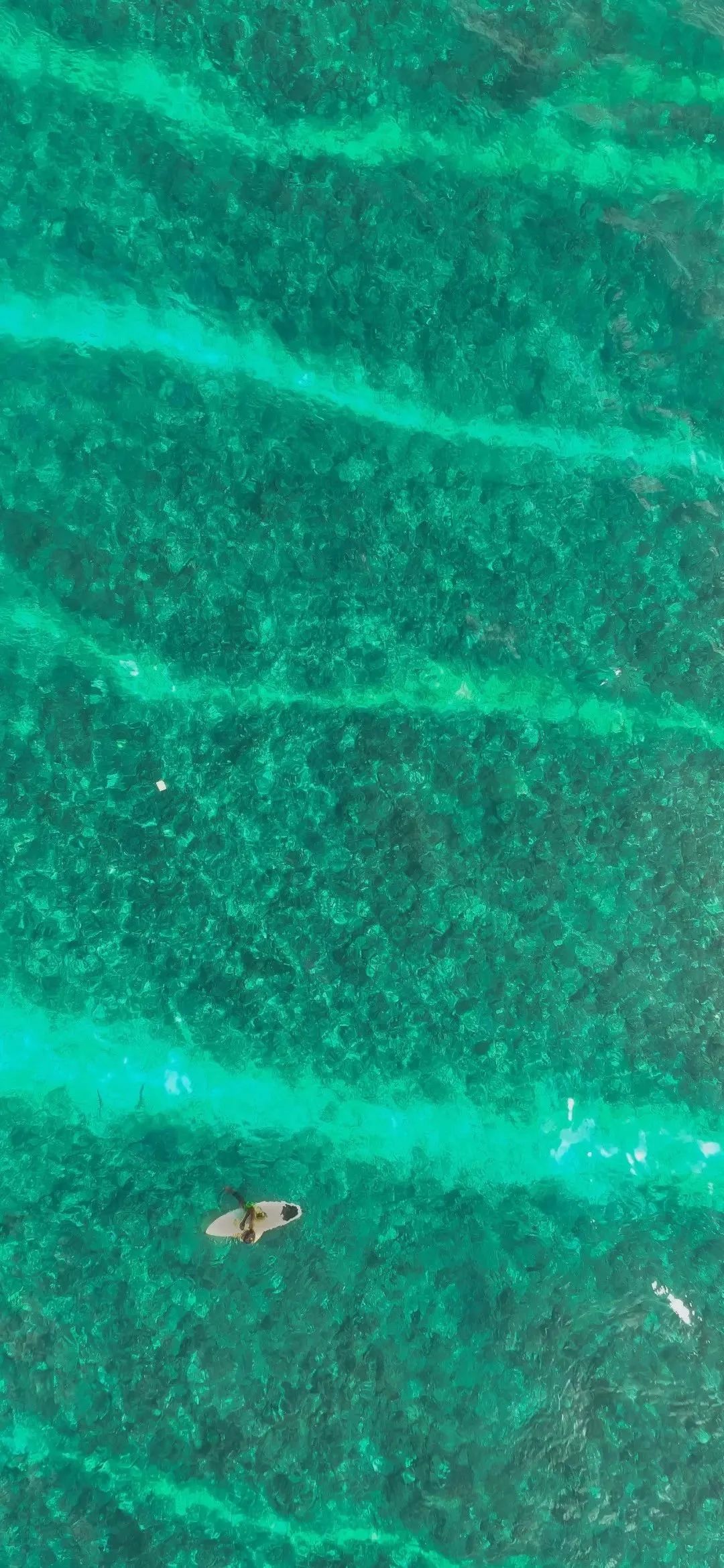碧海孤舟绿色护眼手机壁纸