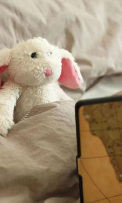 兔玩偶盖被子手机壁纸