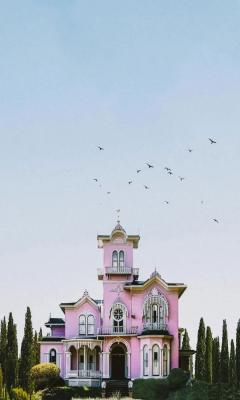 粉色城堡上的飞鸟群手机壁纸