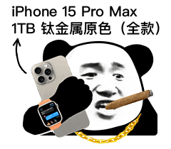 iPhone 15 Pro Max 1TB钛金属原色(全款)