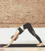 女子瑜伽教练锻炼教程gif动态图片