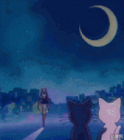 美少女领着两只猫猫看流星划过天际gif动态图片