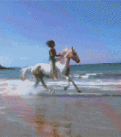 长发女孩骑着白马在海边狂奔gif动态图片