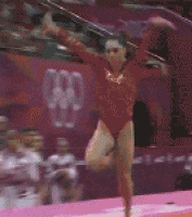 奥运会女子跳马比赛成功gif动态图片