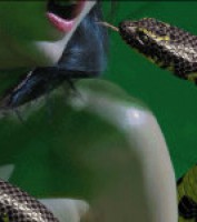 裸体印度女人和蛇gif动态图片