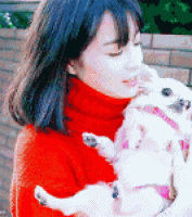 日本美女怀里的宠物小狗狗gif动态图片