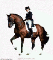 奥运会女骑士骑马gif动态图片